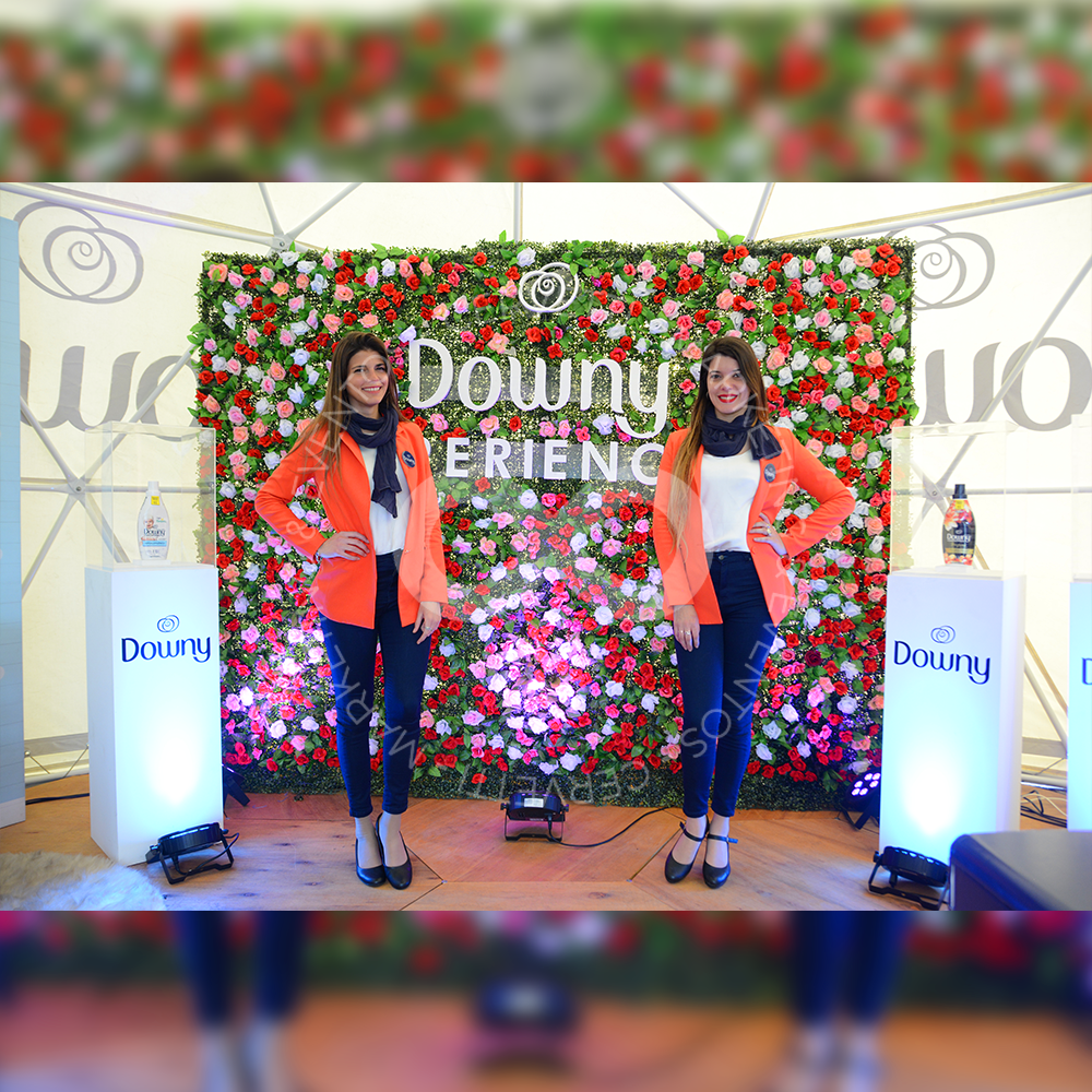 Domo Downy Carrefour