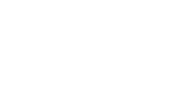 Raizen